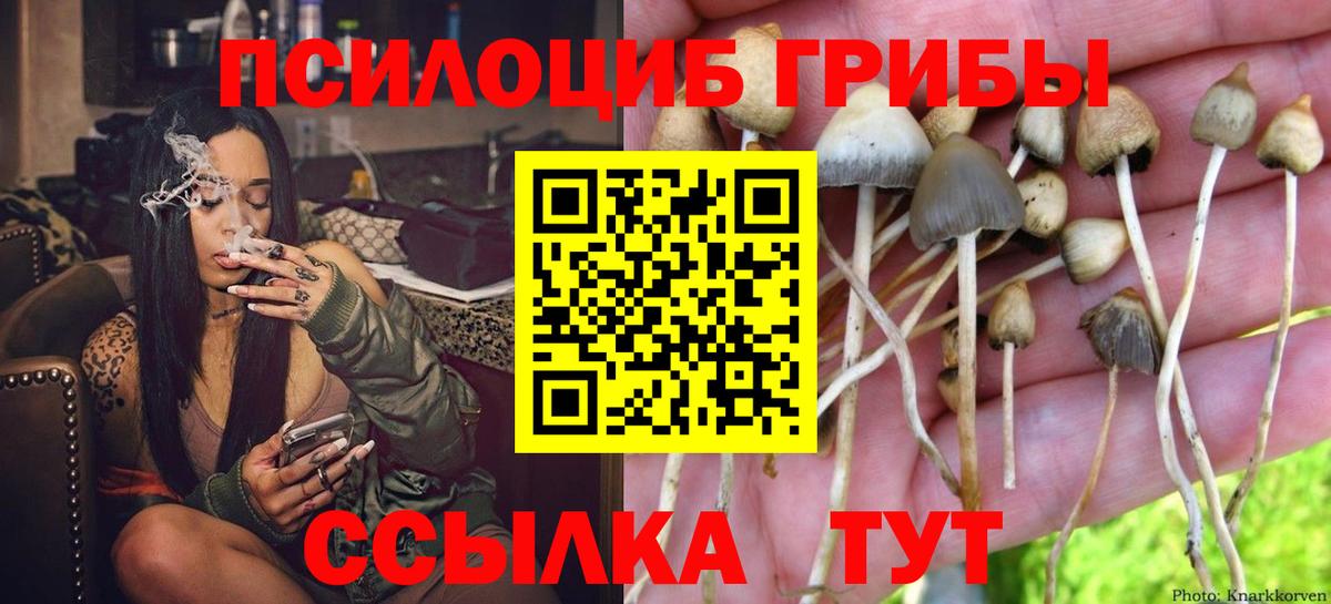 Псилоцибиновые грибы Magic Shrooms Воскресенск